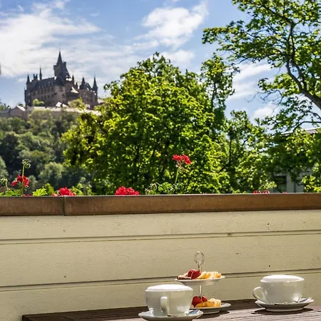 酒店 Boutiquehotel Schlosspalais 4*