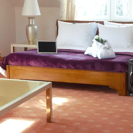 Boutiquehotel Schlosspalais 酒店 韦尼格罗德