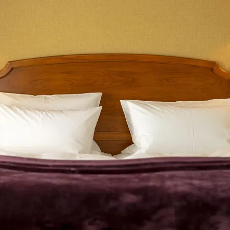 Hotel Boutiquehotel Schlosspalais Wernigerode